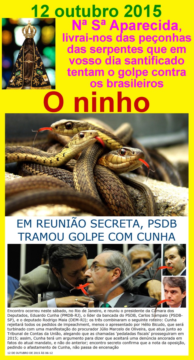 ninho de cobras sampaio cunha maia procurador nsaparecida